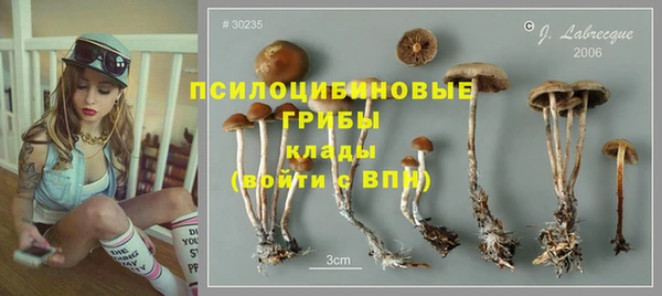 винт Новодвинск