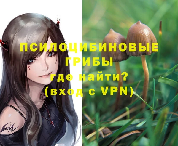 дживик Алексеевка
