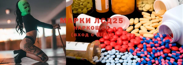 прущие грибы Абинск