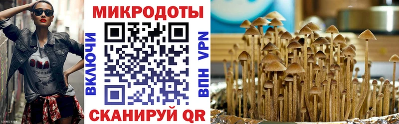Псилоцибиновые грибы ЛСД  Темрюк 